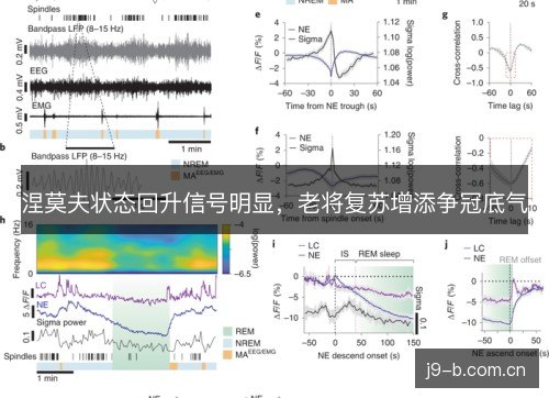 涅莫夫状态回升信号明显，老将复苏增添争冠底气